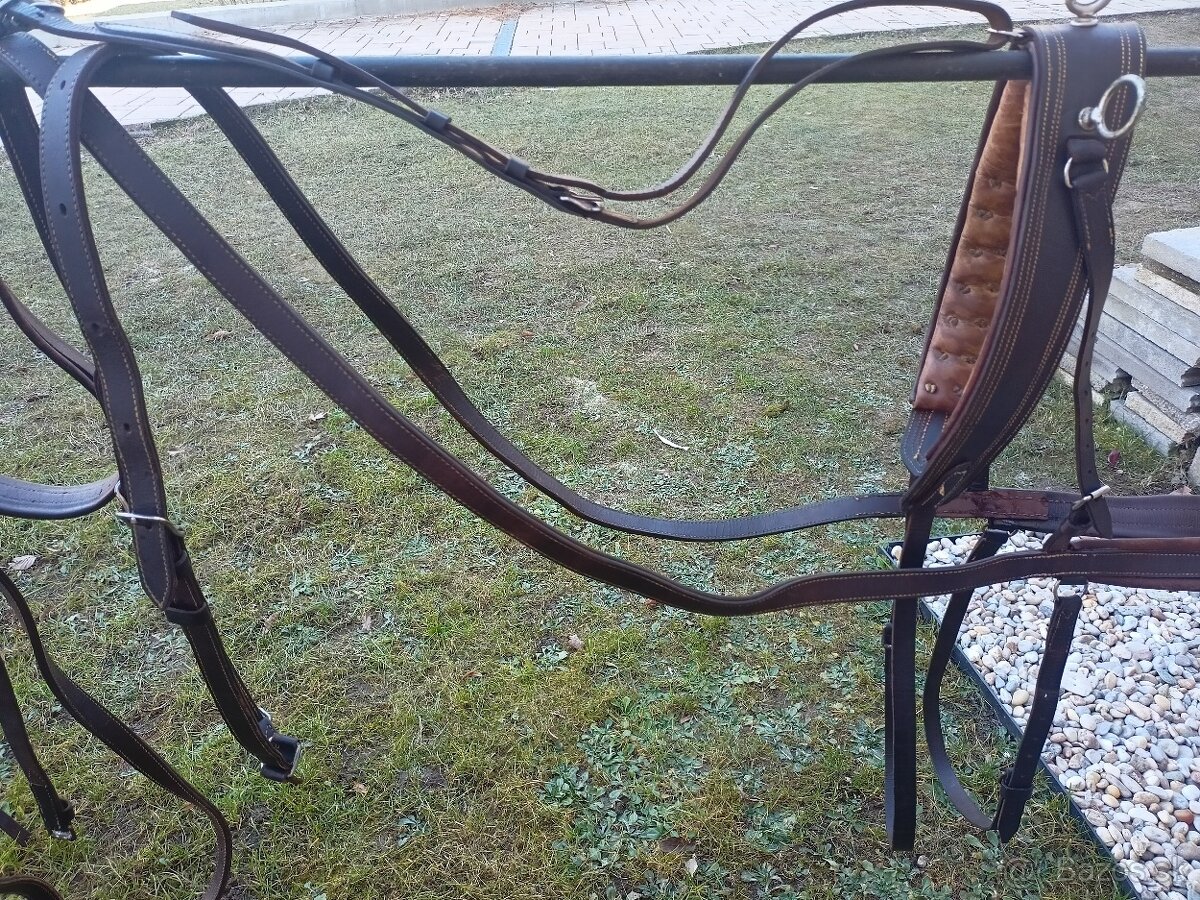 Hnedé kožené poprsne postroje na dva kone - 4