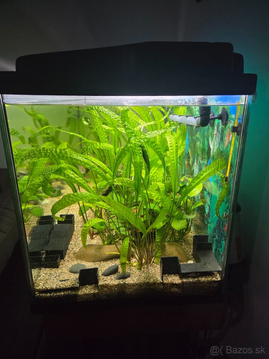 Akvarium 180 L - 4