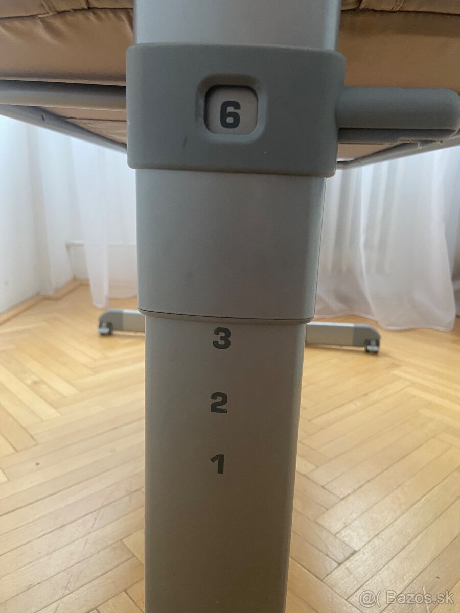 Cestocna postielka - 4