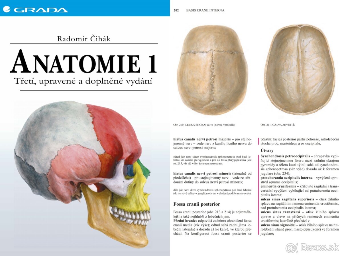 ANATÓMIA - knihy v PDF - 4