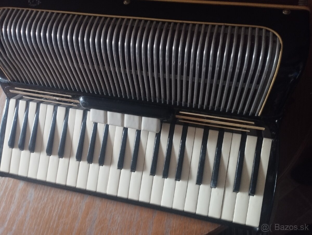 Akordeón Ligna Harmonika - 4