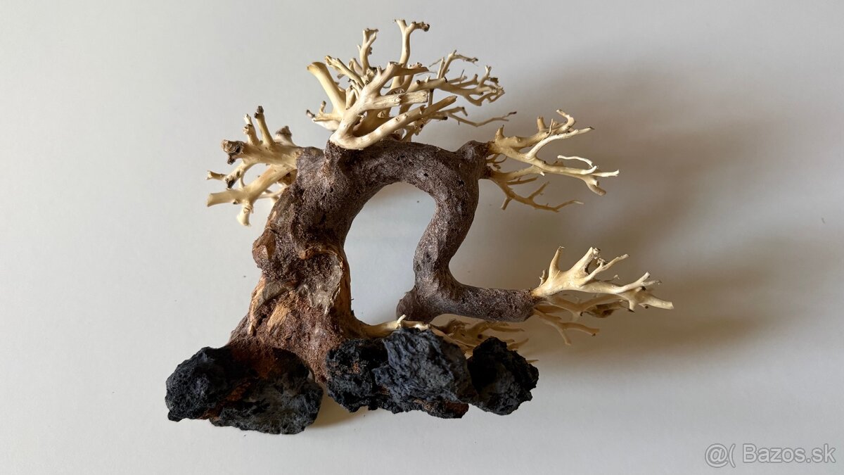 Bonsai Driftwood - 4