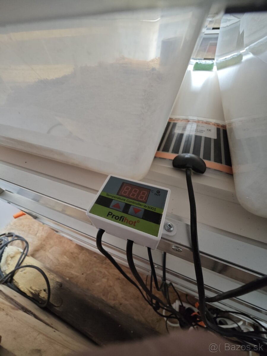 Allurack terárium - 4