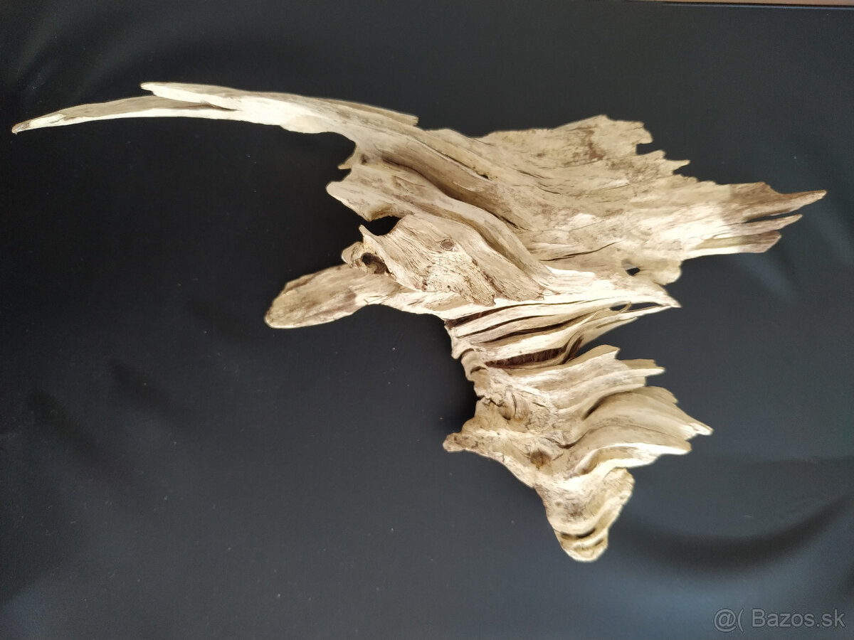 Samorast / Paroh - 4