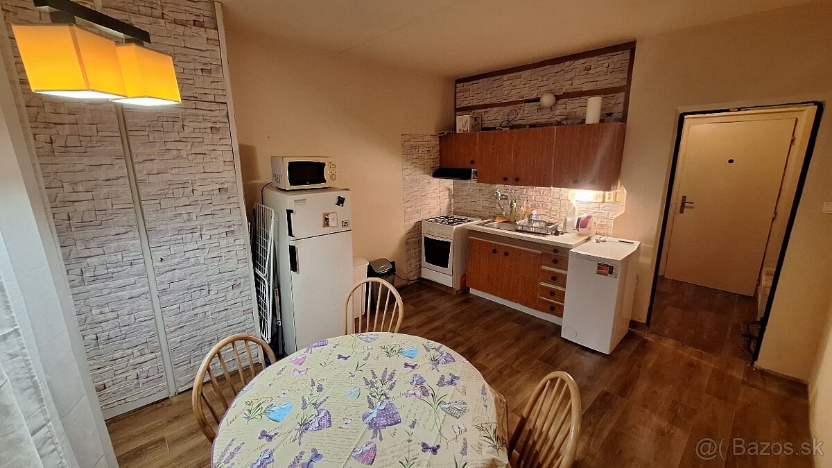 Veľký 1 izbový byt na Záhonku - 4