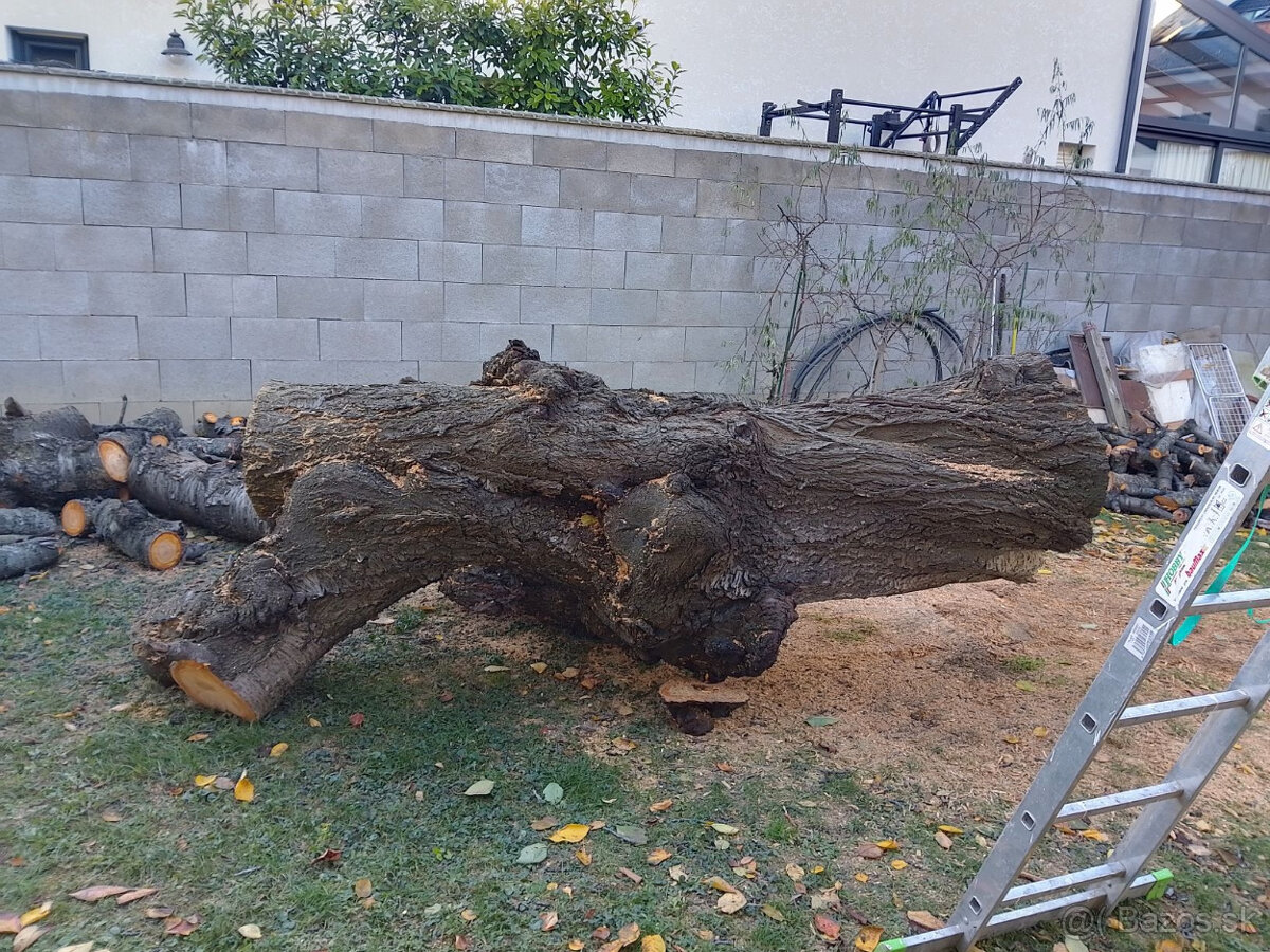 Čerešňové drevo - 4