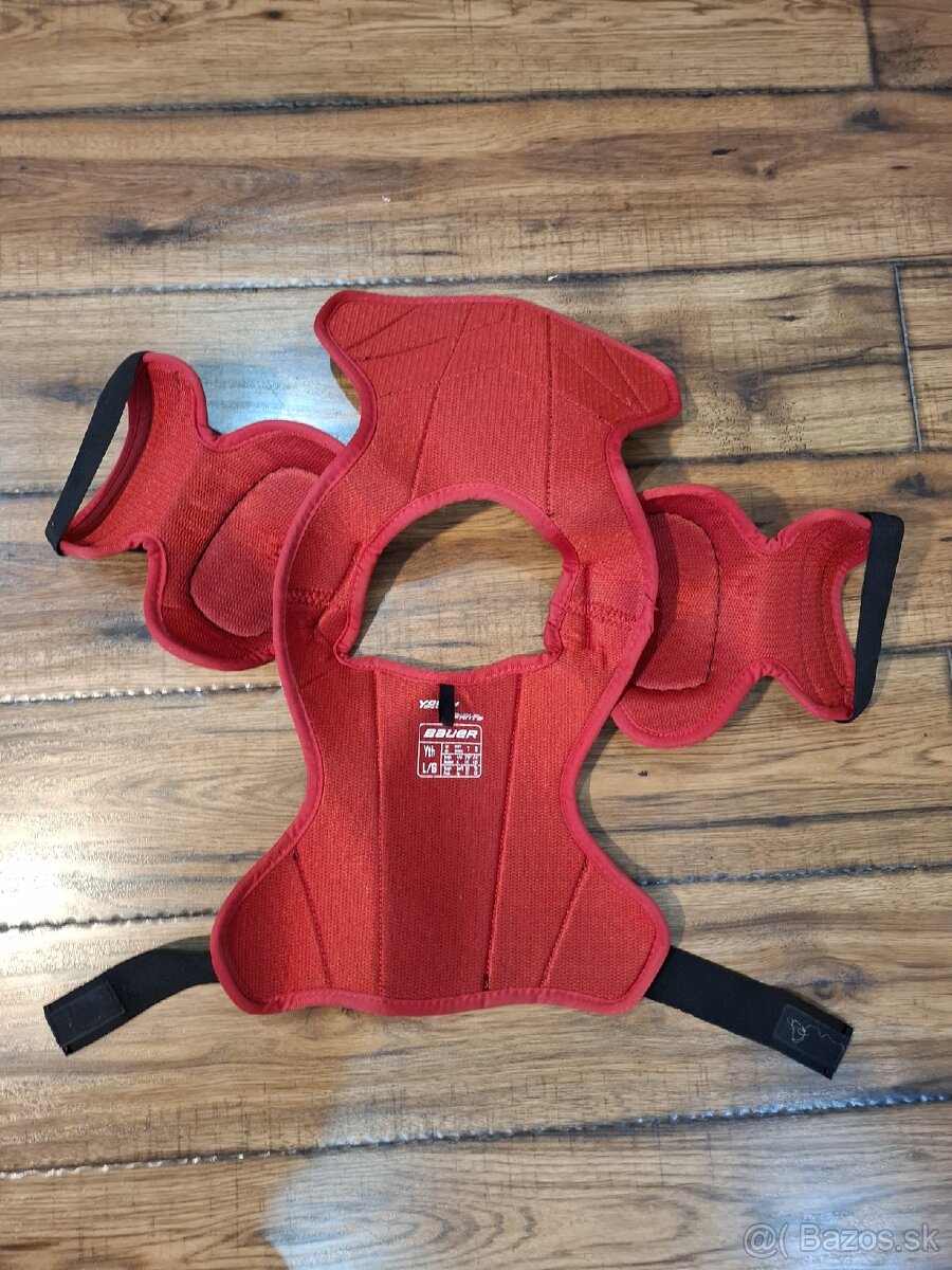 Hokejove chranice tela - 4