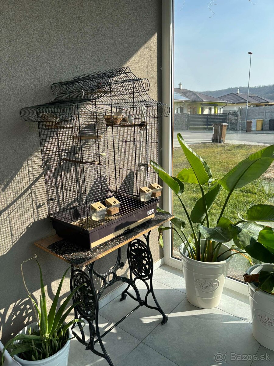 Elegantná retro klietka + ZEBRIČKY 2ks - 4