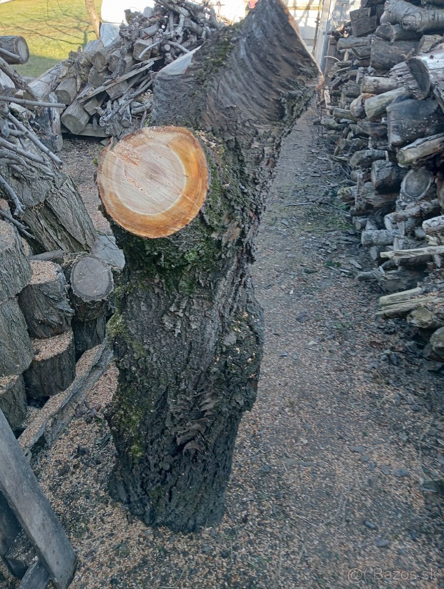 Ceresnové drevo - 4