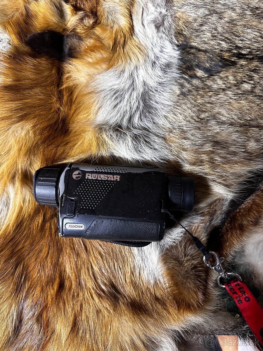 Pulsar axion key - 4