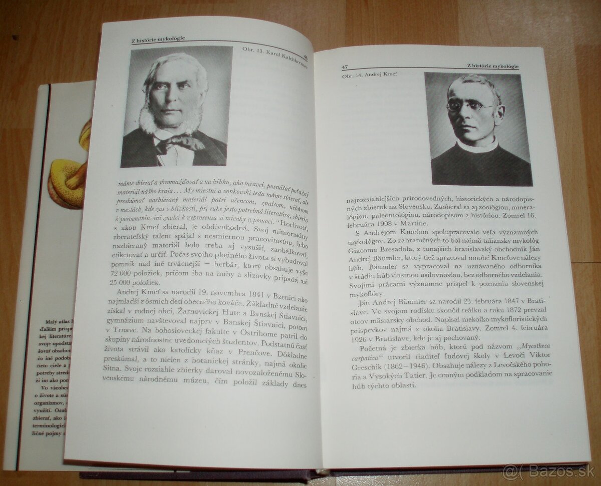 Malý atlas húb - 4