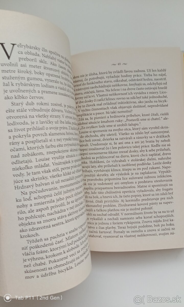 Isabelle Autissier - Náhle, sami - 4