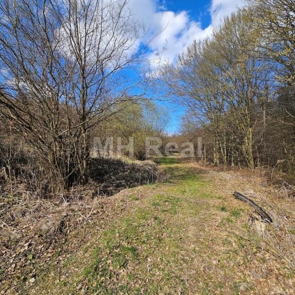 KANAŠ pozemok v lone prírody len 7 km od Prešova 10€/m2 - 4