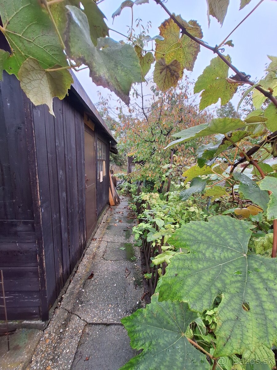 Záhrada Rača/Rendez/ - 4