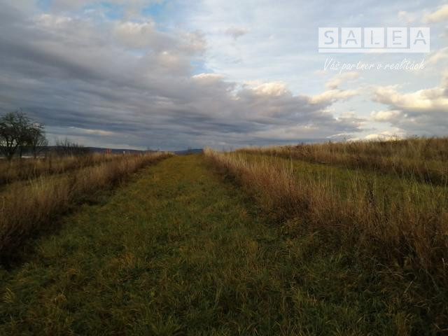 Stavebný pozemok v Meste Myjava o výmer 8930m2. - 4