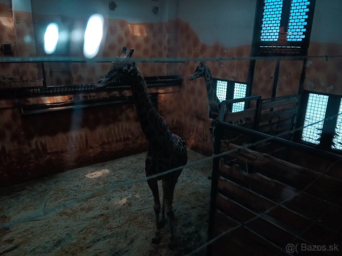 BMW x6 e71 4.0d 225 kw - 4