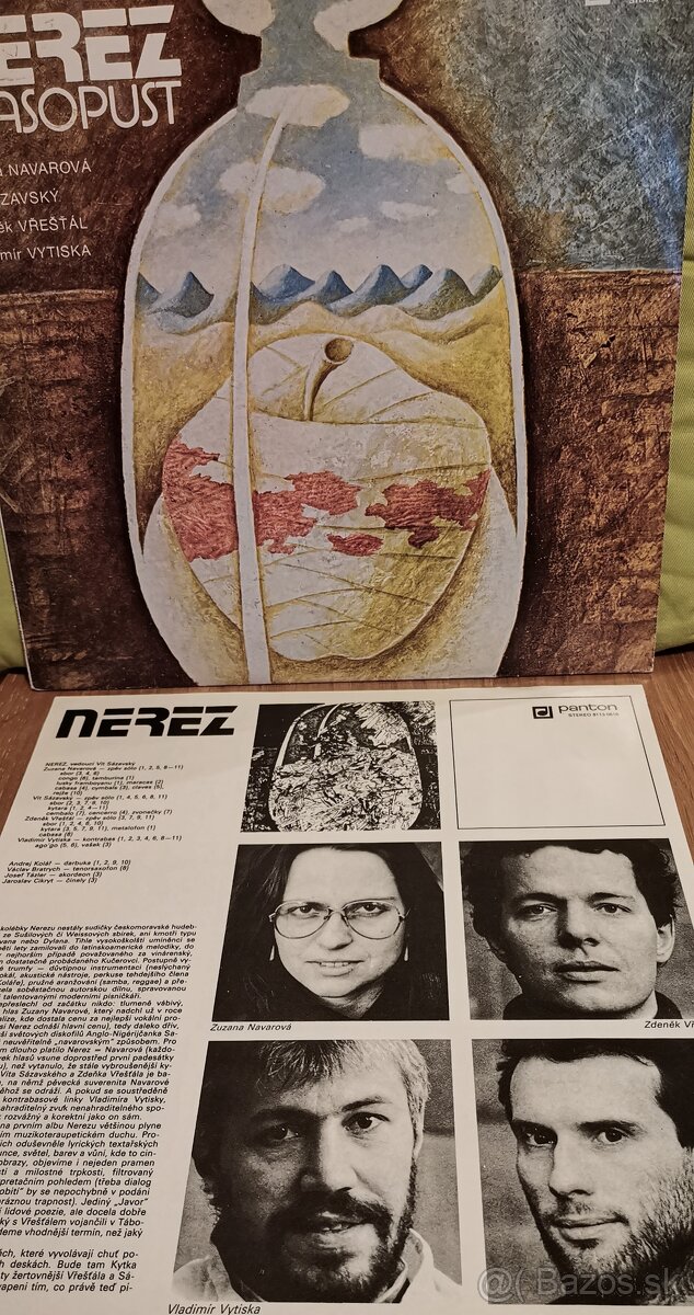 LP Nerez-Masopust - 4