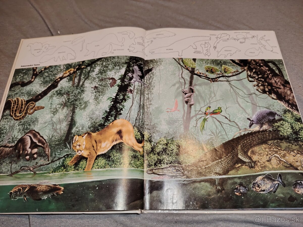 Mýty a legendy Amerického kontinentu - 4