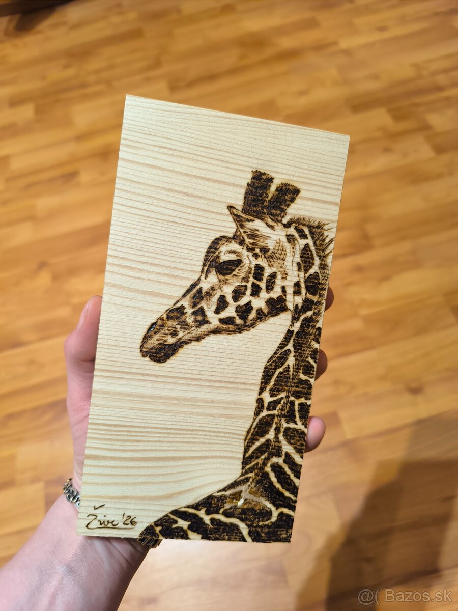 Radnica mesta Levoča - 4