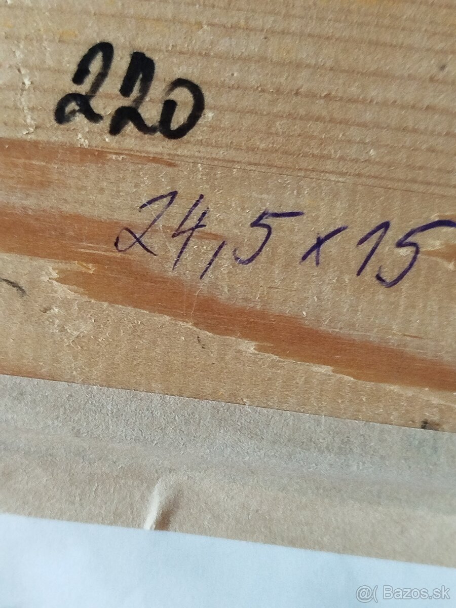 Obraz zemplínskej tanečnice - 4