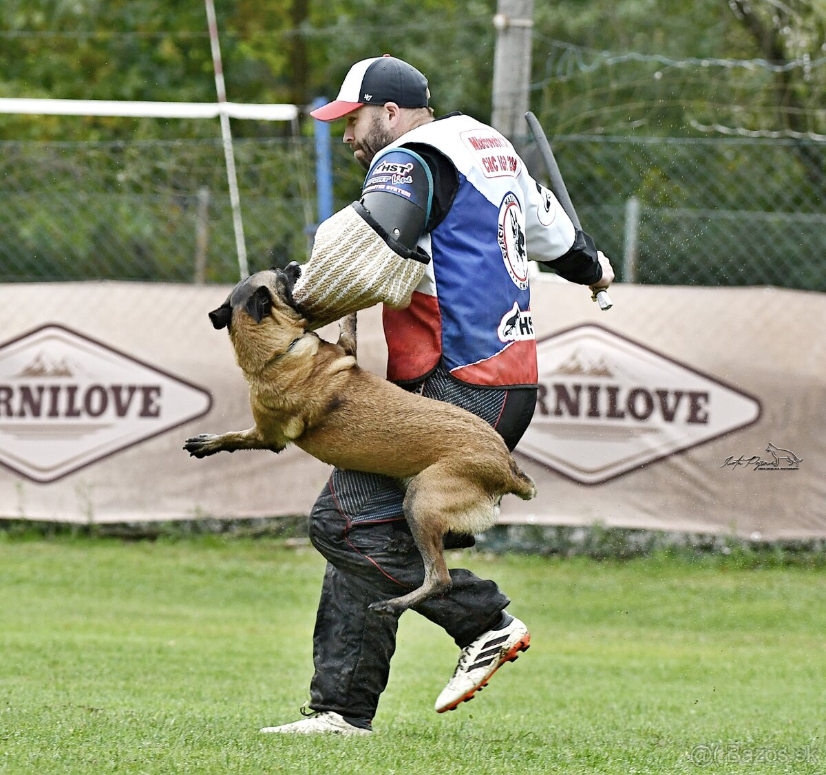 Belgický ovčák malinois s PP - 4