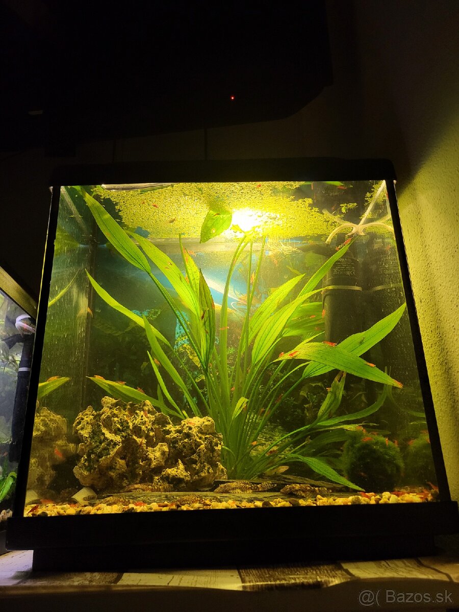 Predám akvária cca 60l - 4