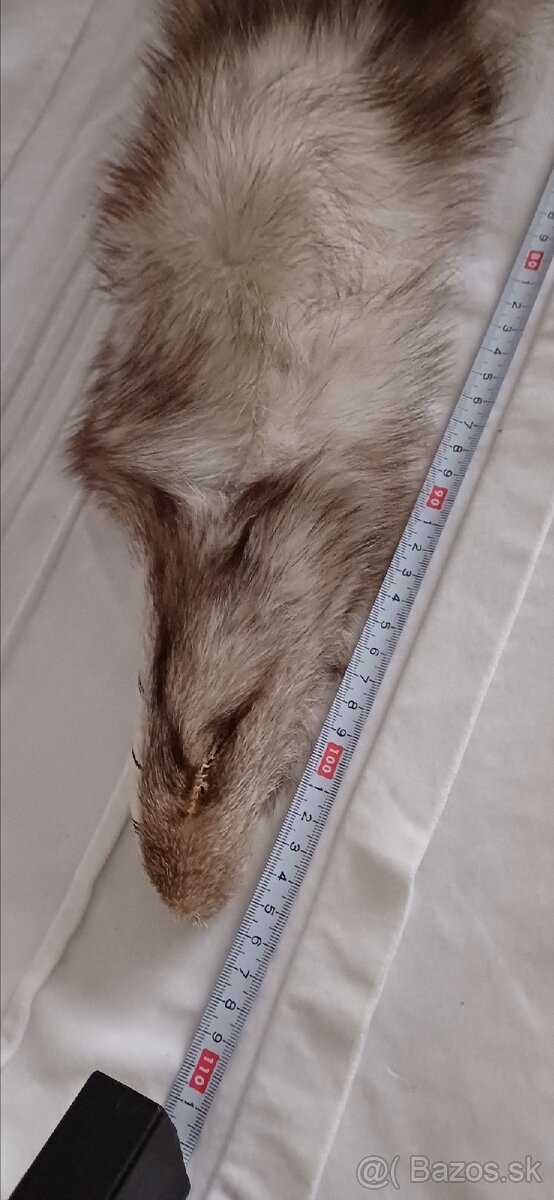 Golier- čiapka polárna líška - 4