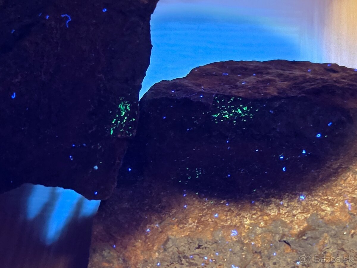 Uránový minerál #30 - (Muráň, SR) - 4