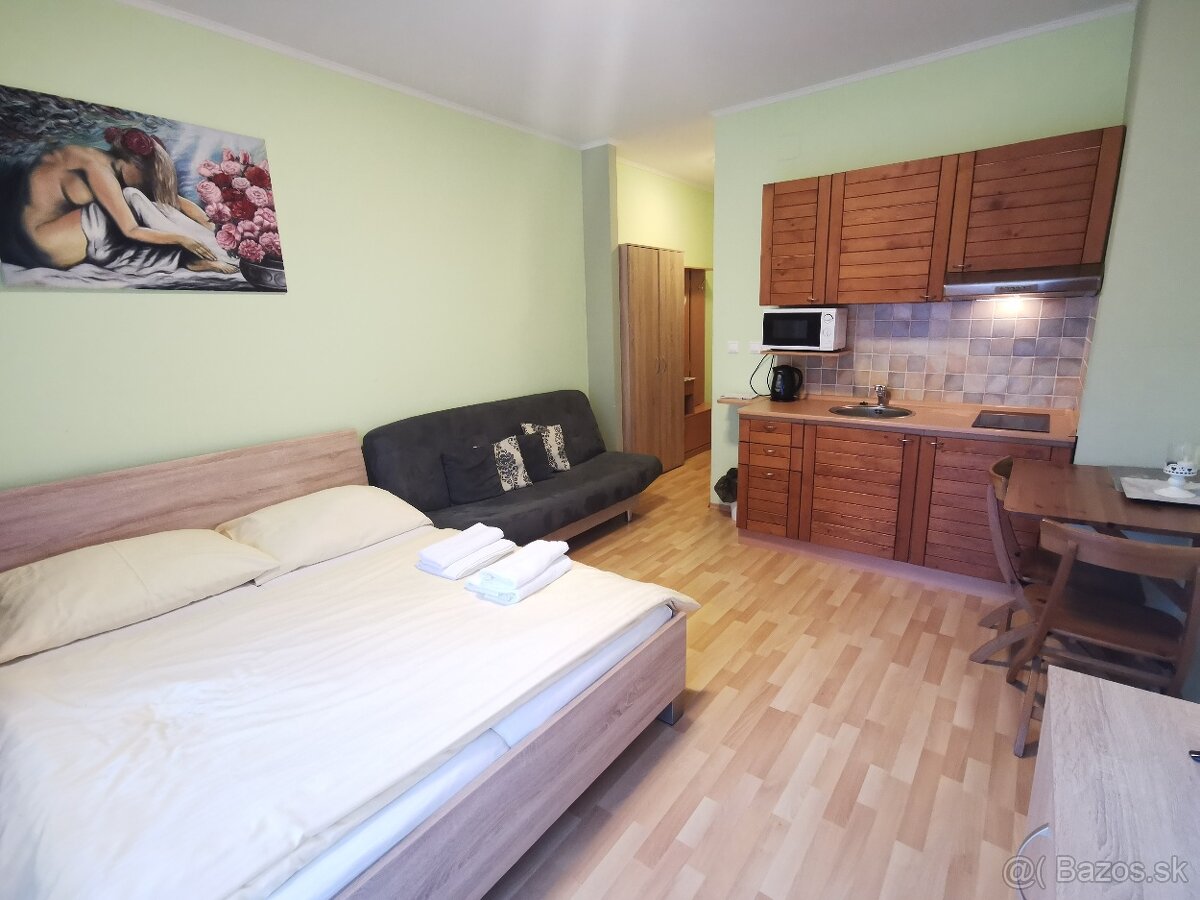 Priestranný 1-izbový apartmán s balkónom - 4