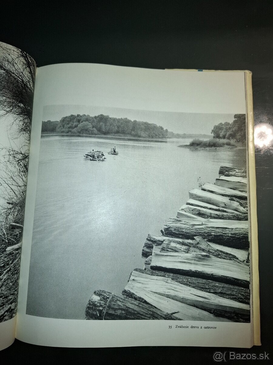 Dunaj - Ester Plicková - 4