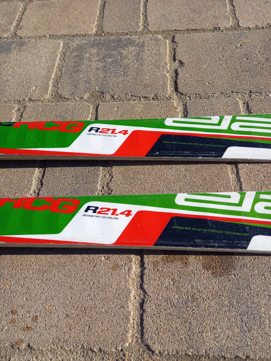 Lyže Elan RCG WC 176cm. - 4