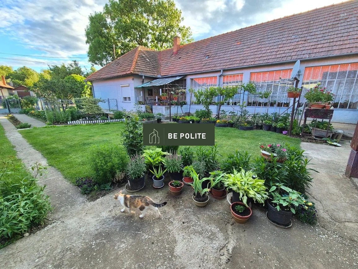 Rodinný dom, 5-izbový, 14 ár pozemok, garáž, 12 km Vráble - 4