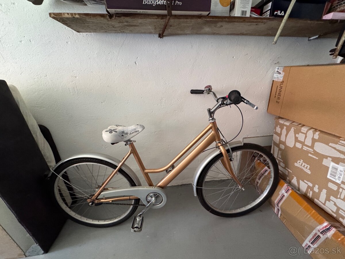 Retro bicykle - 4