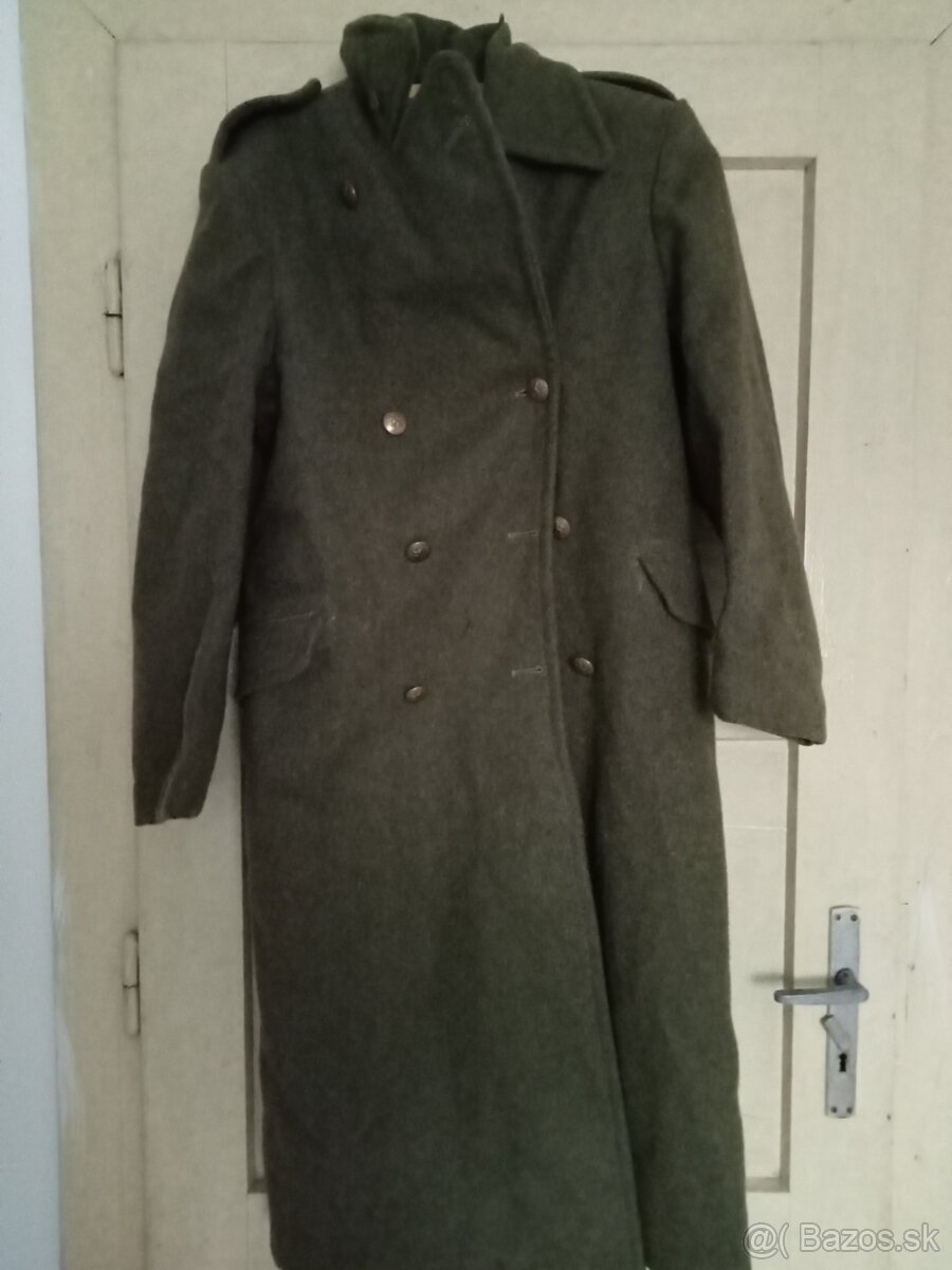 Koprivak belgicko - 4