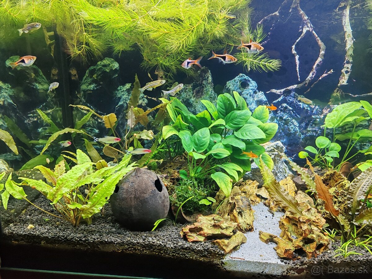 Akva 126l, svetlo, filter - 4