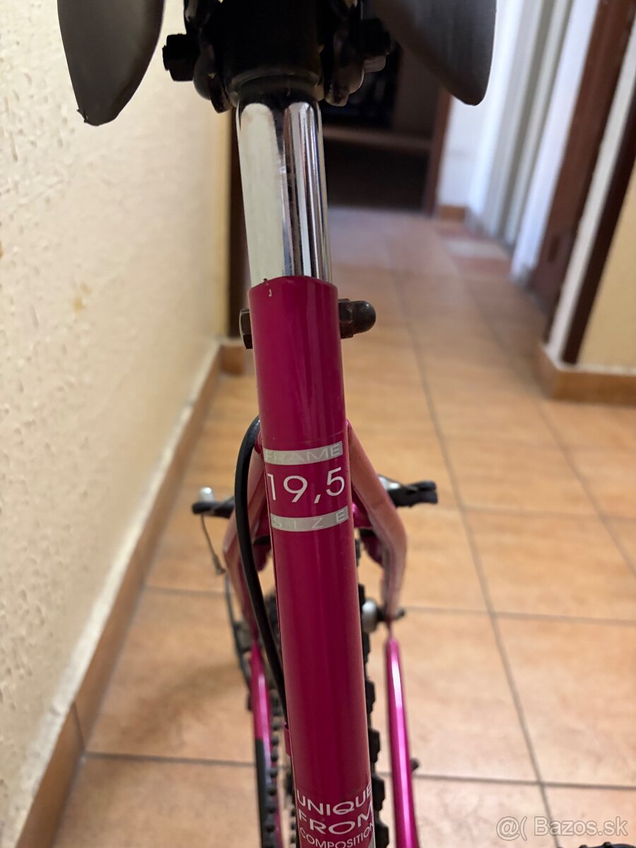 bicykel Ister-dámsky - 4