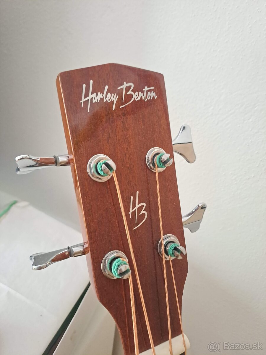 Basgitara elektroakusticka - 4