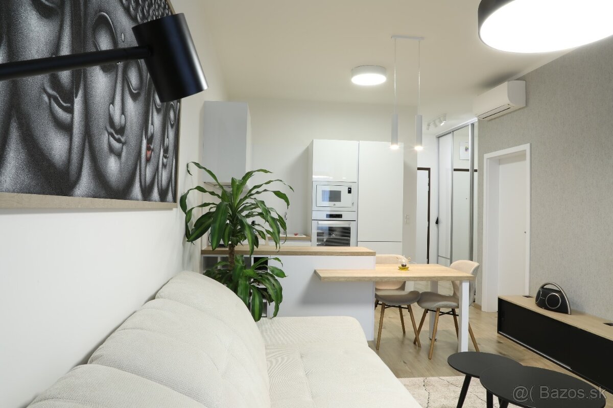 Prenájom 2 izbového bytu v novostavbe Lužná - 4