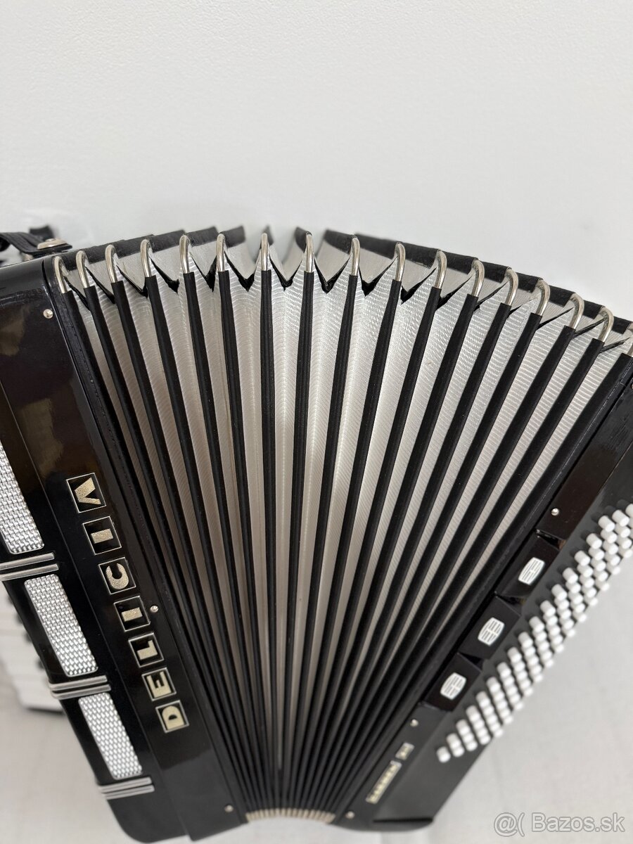 Akordeón Delicia - 4