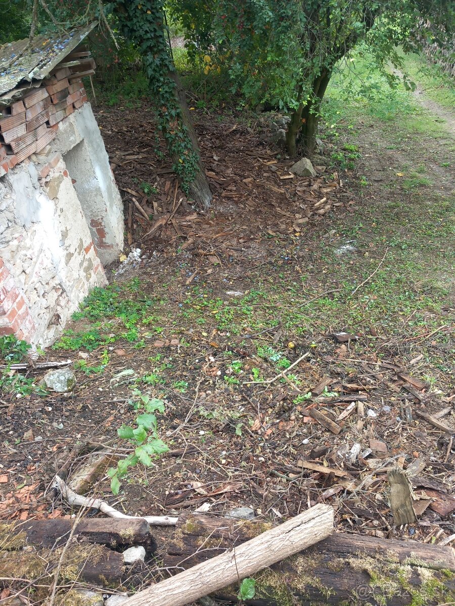 pozemek se sklepem u dukovan - 4