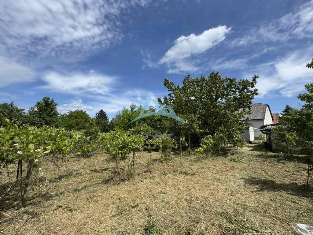 Na predaj: Rodinný dom v Šahách – časť Homok - 4