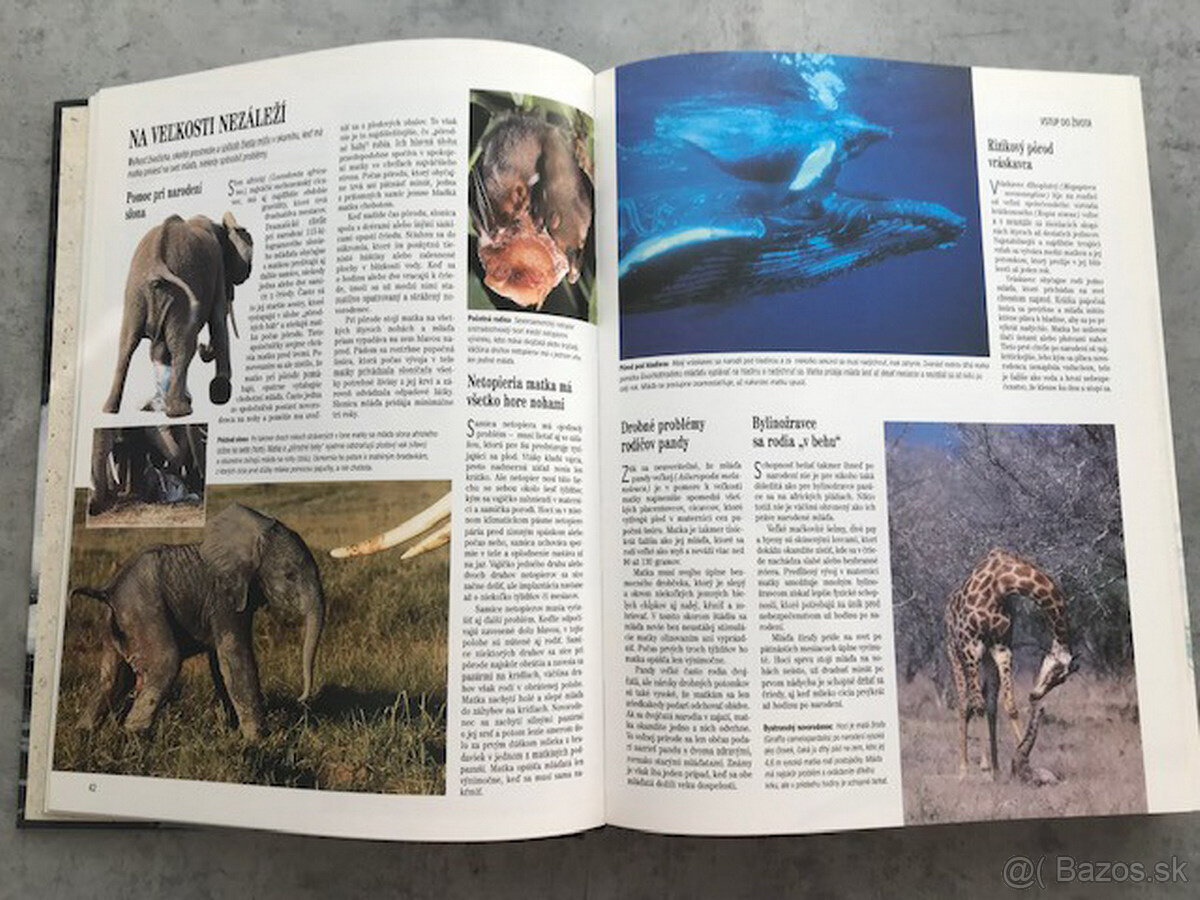 Súkromie živočíchov - 4