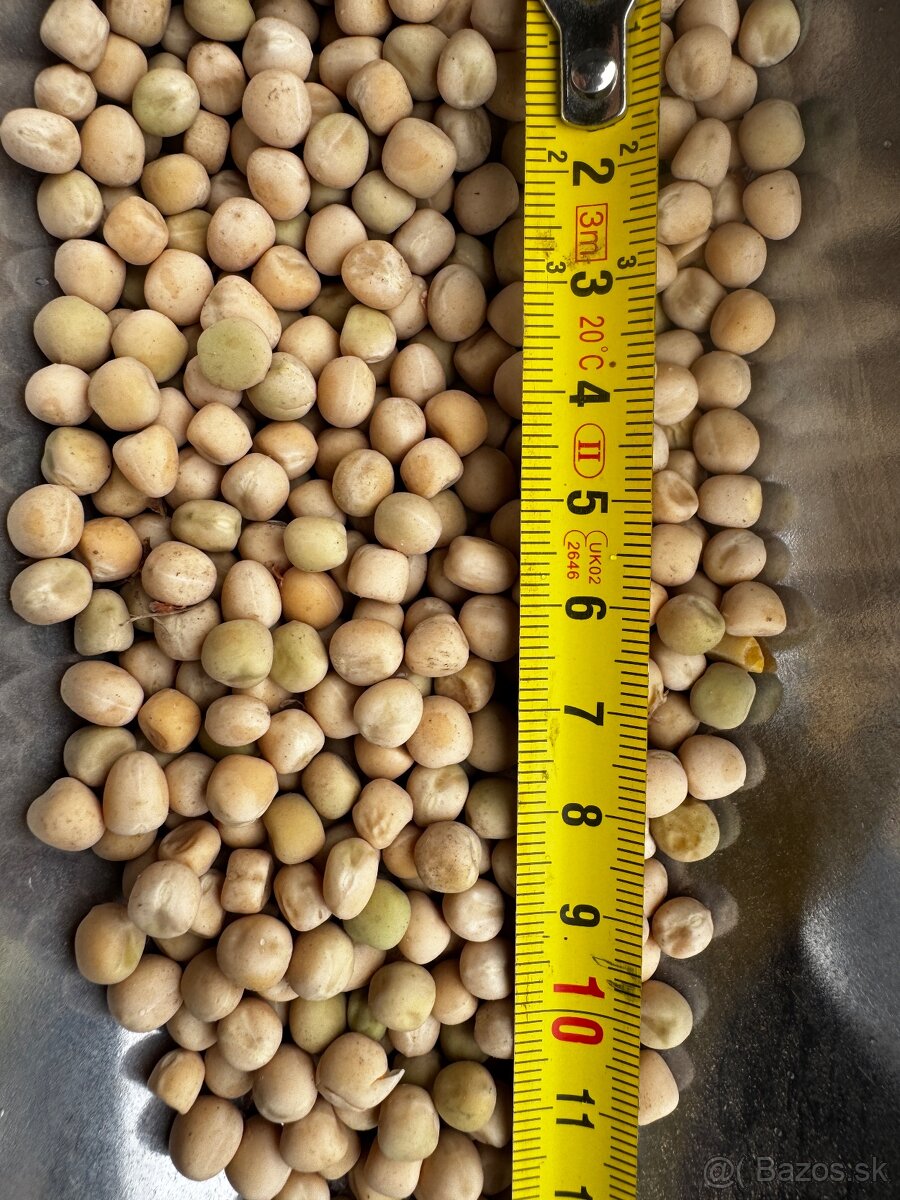 Hrach - vhodny pre holuby - 4