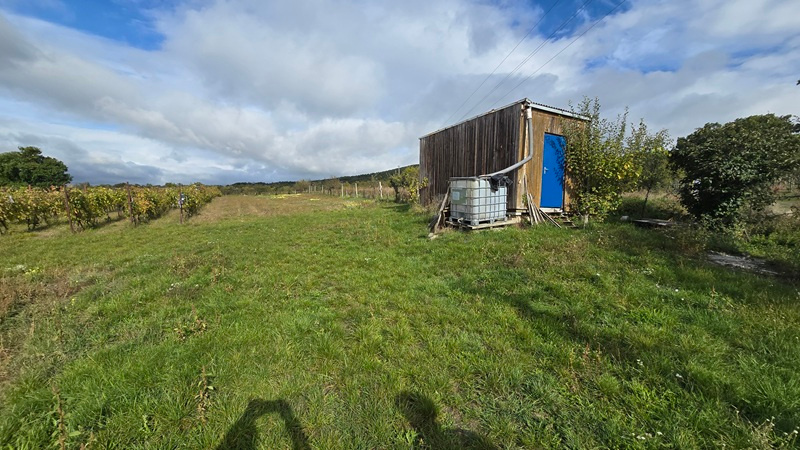 Veľký pozemok v obci Rybník - časť Kráľovka o výmere 3097 m2 - 4