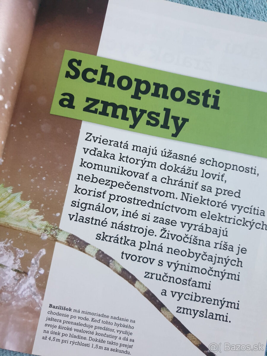Neuveriteľný svet zvierat - encyklopedia - 4