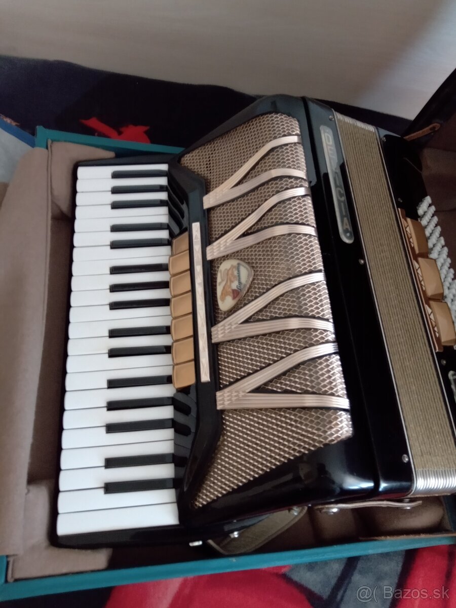 Akordeón Delicia Melodia v - 4