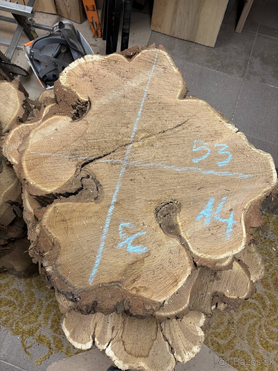 Vysušené agátové koláče / priečne rezy, agát - 4