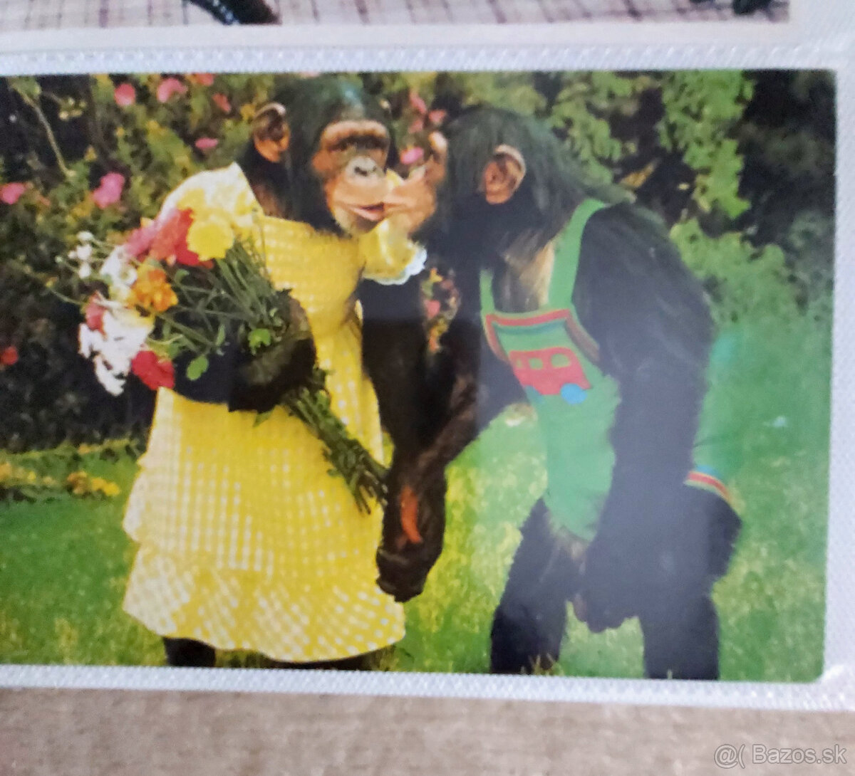 cca 150 pohľadníc zvierat - 4