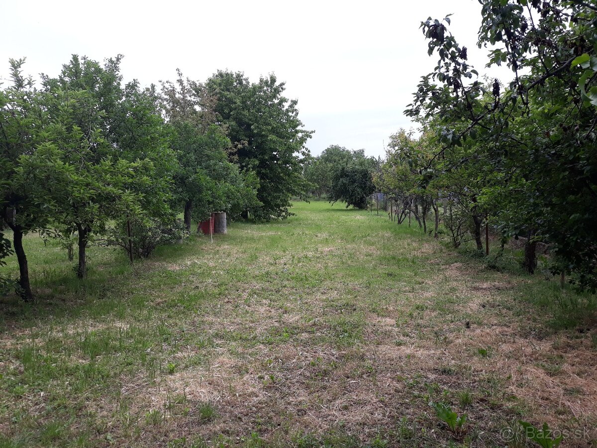 Rodinný dom v obci Pata - 4