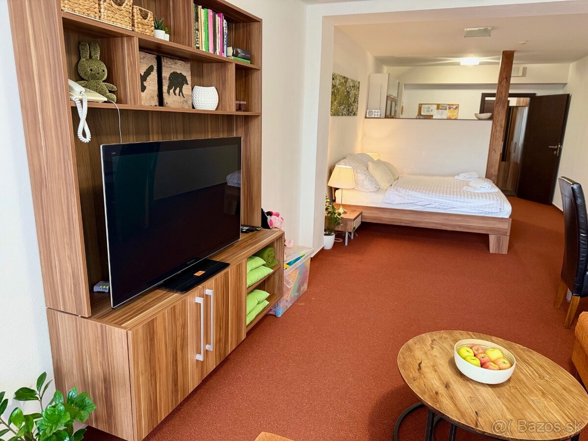 Atraktívny apartmán s terasou, parkovaním a wellness - 4